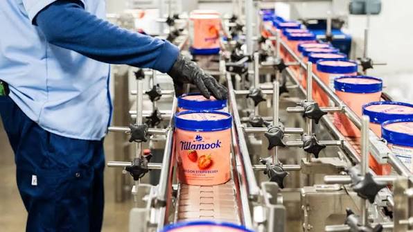 Where Is Tillamook Cheese Made
