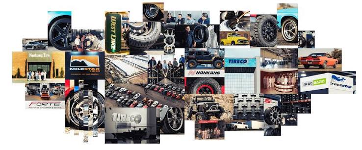 What Is the History of the Celimo Brand