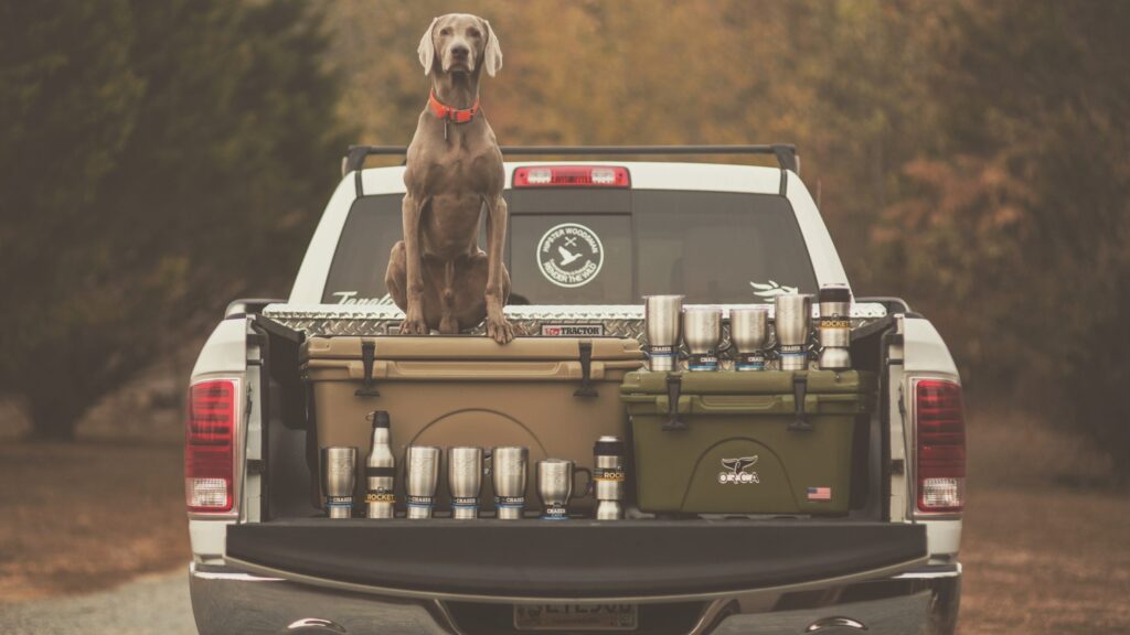 Who Owns Orca Coolers