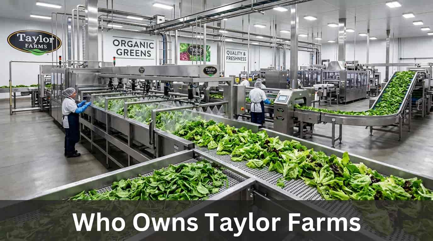 Who Owns Taylor Farms