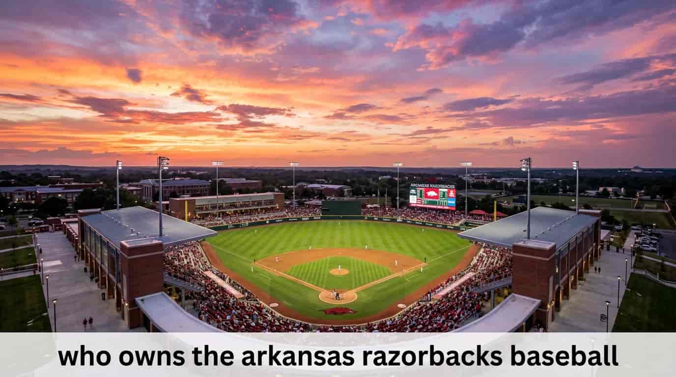 Who Owns the Arkansas Razorbacks Baseball Program