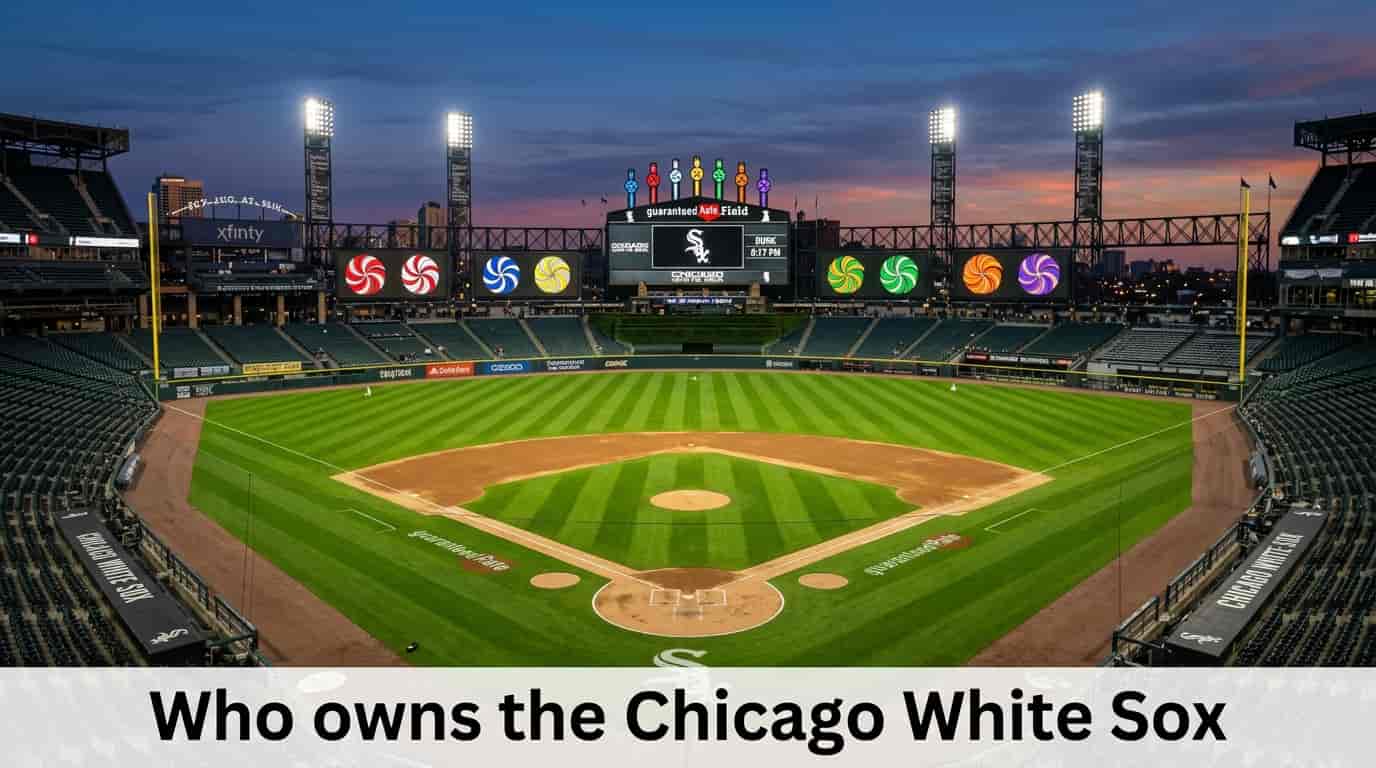 Who Owns the Chicago White Sox
