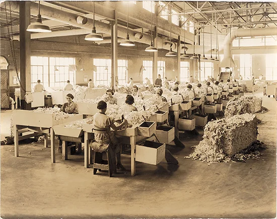 When Was Cottonelle Founded